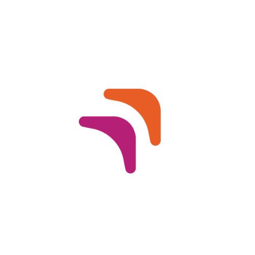 Boomerang Logo
